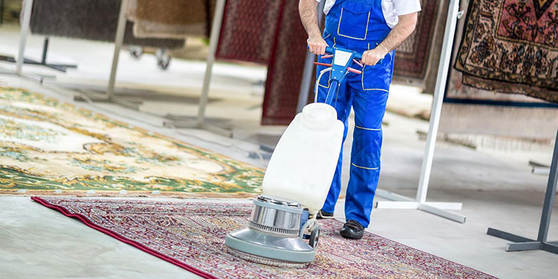Eskifoça Halı Yıkama